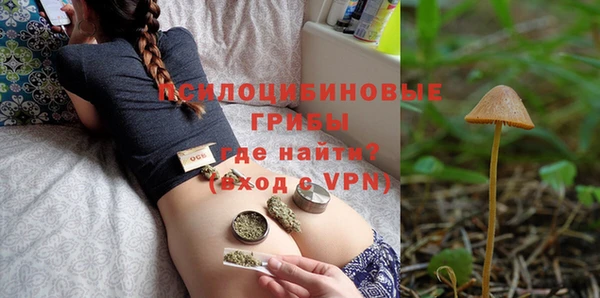 крисы Краснотурьинск