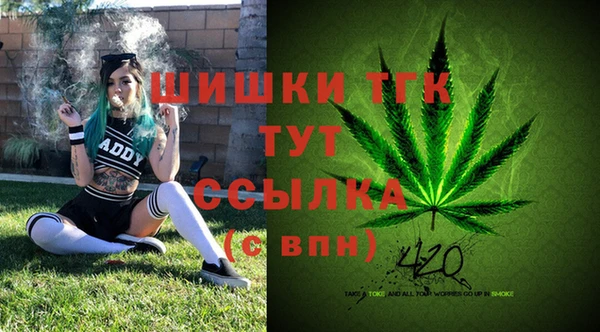 бошки Краснослободск