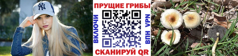 Галлюциногенные грибы Magic Shrooms  купить закладку  blacksprut маркетплейс  Заозёрный 